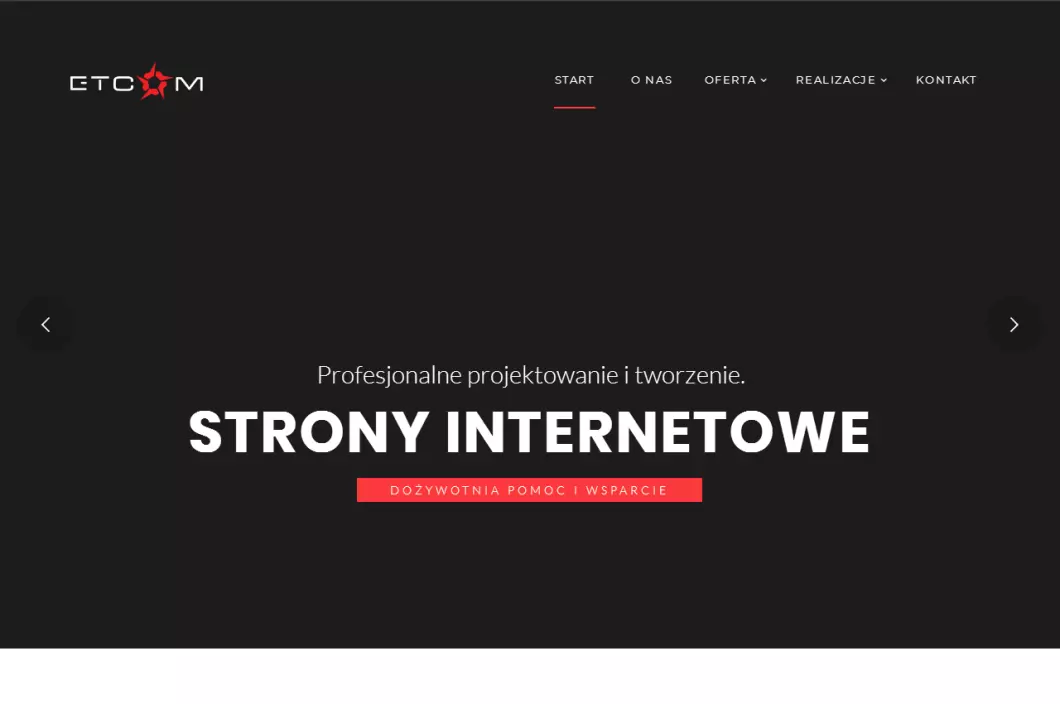 Zrzut ekranu strony Agencja Interaktywna ETCOM - projektowanie i tworzenie stron www